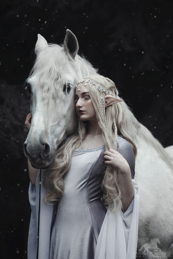 Srebrne Elfy – sesja z koniem Nordico